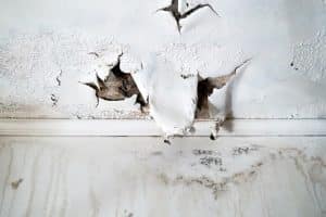 black-mold-in-basement-mason-city-mn-all-star-basements-3