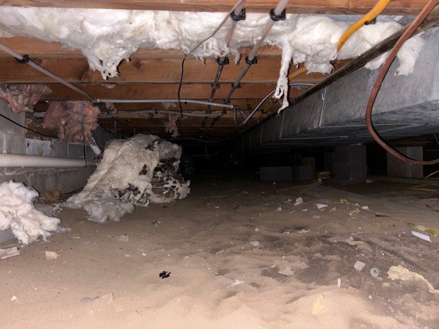 Crawl Space Encapsulation vs. Crawl Space Venting