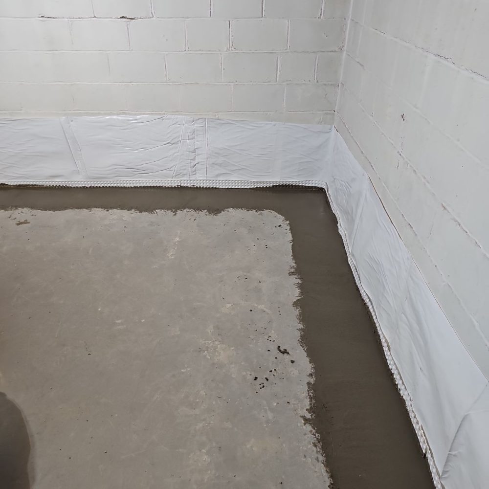 What to Do When Your Basement Smells Musty